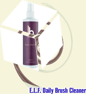 Brush cleaner