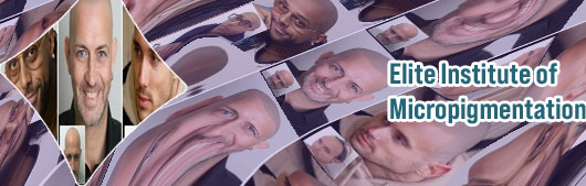 Micropigmentation eyebrows cost